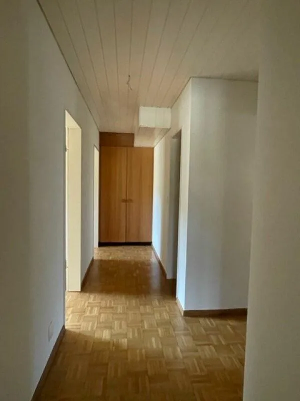 4.5-room apartment in Hellikon