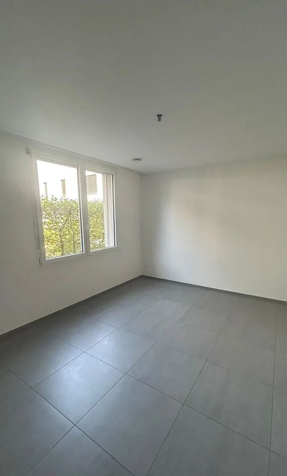 Helle 4.5-Zimmer-Parterrewohnung mit Terrasse