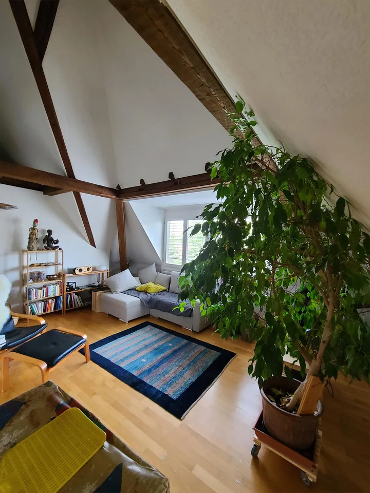 Geräumige, spezielle Dachwohnung in einer alten Stadt Villa