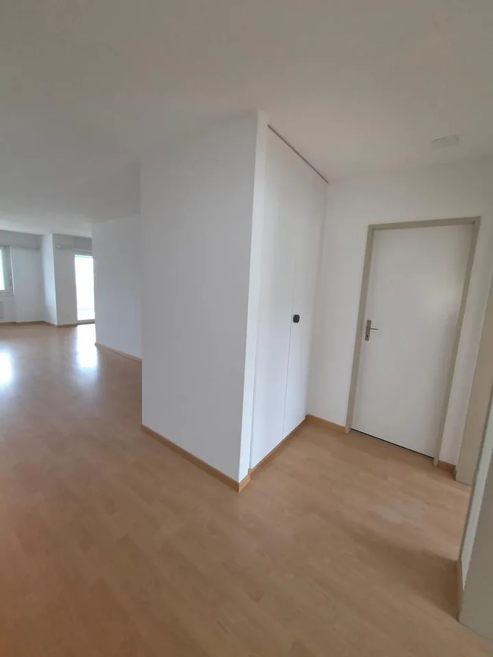 4.5 Zimmer Wohnung in Gretzenbach - Willkommen in Ihrem neuen zu Hause