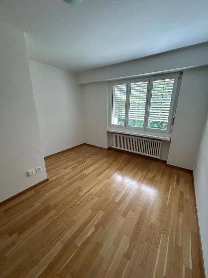 Appartamento moderno 1 stanza a Frauenfeld