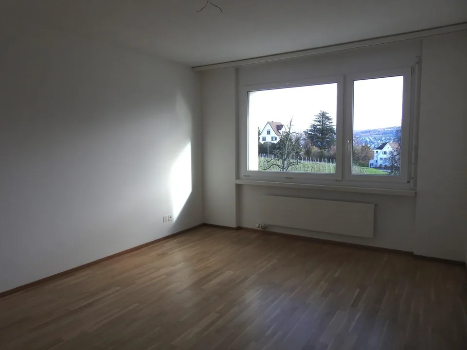 Cozy apartment in quiet and beautiful Kilchberg!