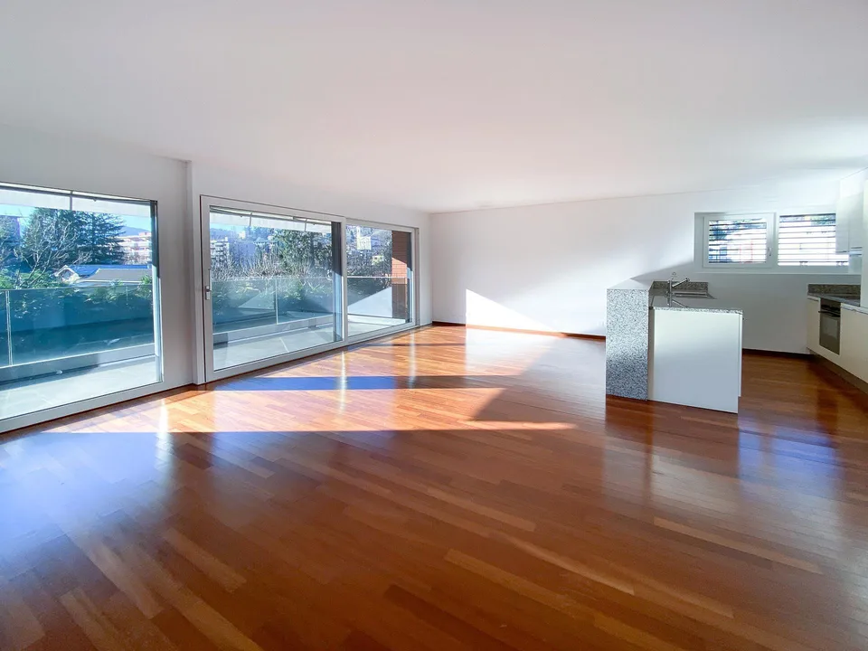 Ampio 3.5 locali con terrazzo ad Agno