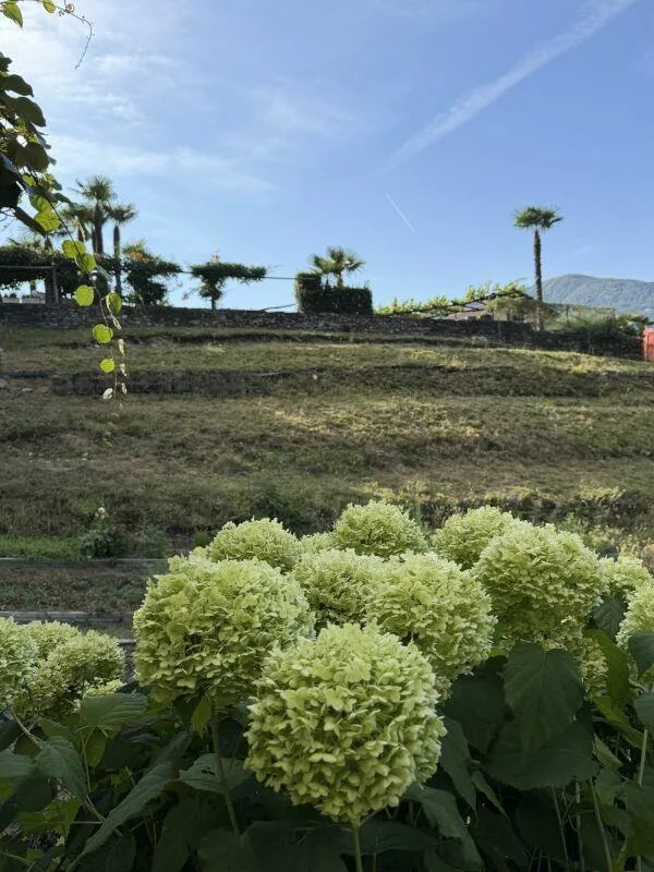 VENDESI A CUGNASCO - Bella casa unifamiliare di 5.5 locali in buoni... – Foto 7 von 18
