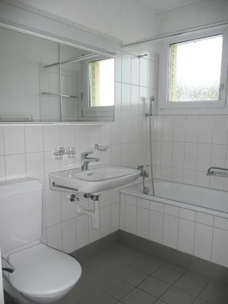 Dachwohnung mit Terrasse in schöner Überbauung im Grünen