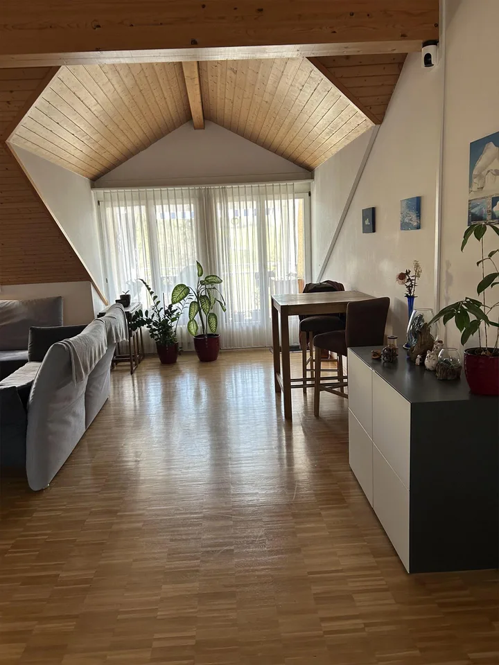 sehr schöne und  grosse 3.5 Zimmer-Dachwohnung