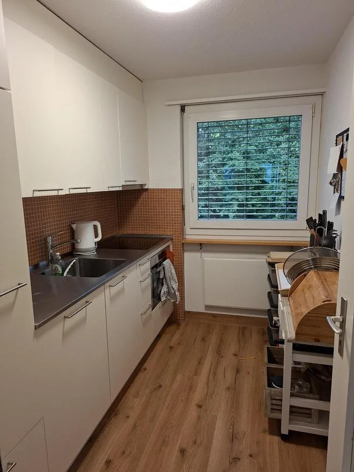 Gemütliche 3.5 Zimmerwohnung an verkehrsgünstiger Lage