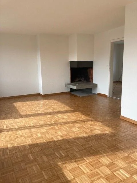 Attikawohnung  mit grosser Terrasse an ruhiger Lage