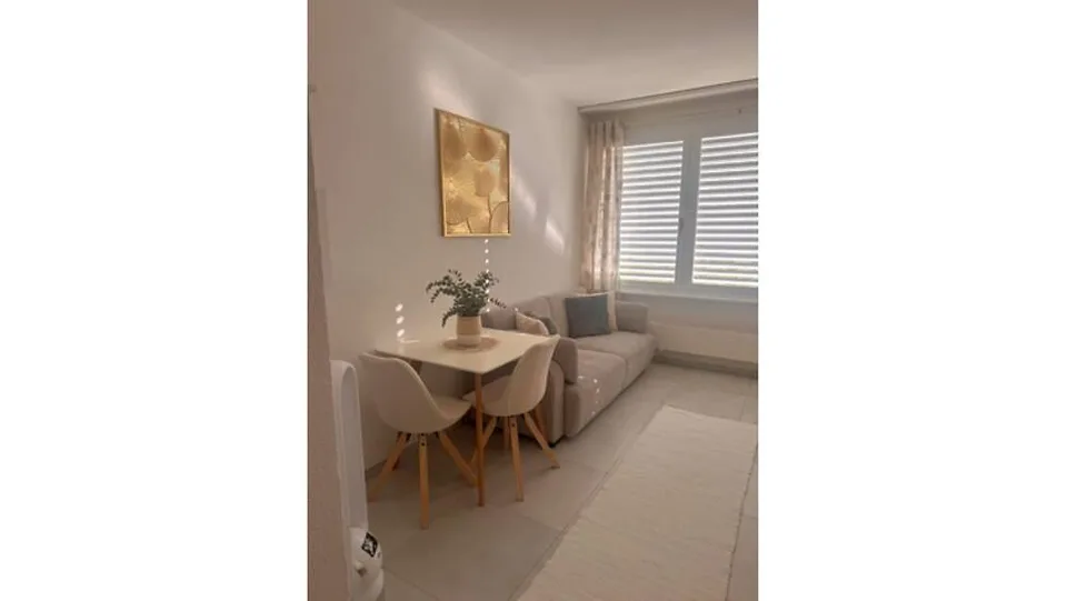 APPARTEMENT 1 PIÈCE À VEVEY (VD), MEUBLÉ, DURÉE DÉTERMINÉE