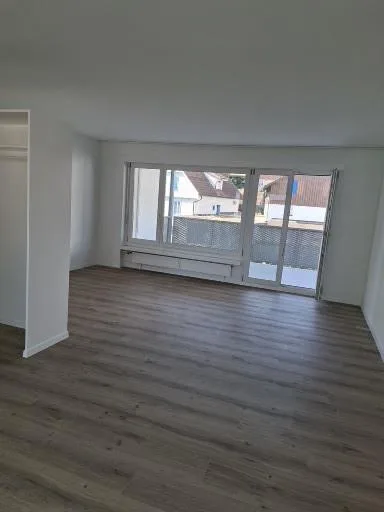 Molto bello 3 1/2 locali completamente rinnovato