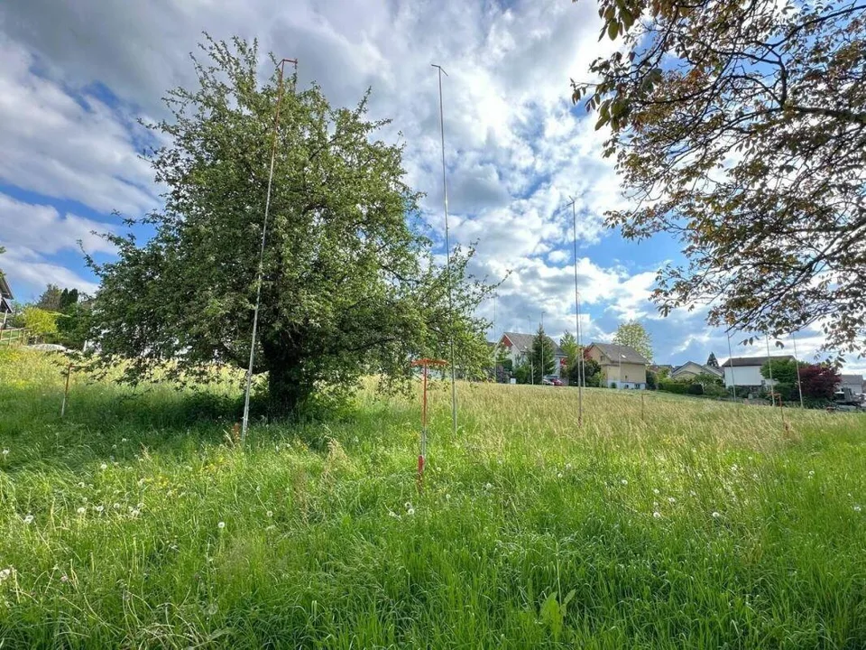 Votre nouveau foyer dans le vert - Projet Kleeblatt Pfyn