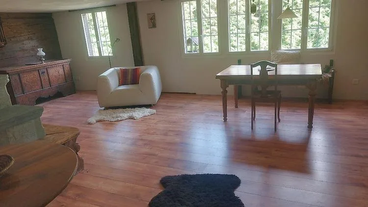 2½ ZI-WOHNUNG IN HASLIBERG HOHFLUH (BE), MÖBLIERT, TEMPORÄR