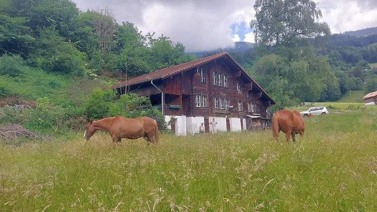 2½ ZI-WOHNUNG IN HASLIBERG HOHFLUH (BE), MÖBLIERT, TEMPORÄR