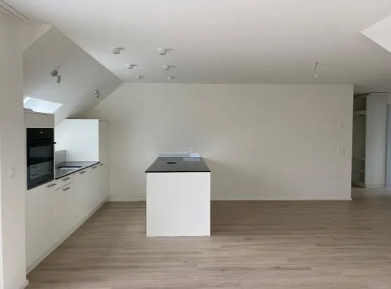 Neue und helle 4,5-Zimmer Maisonette-Wohnung