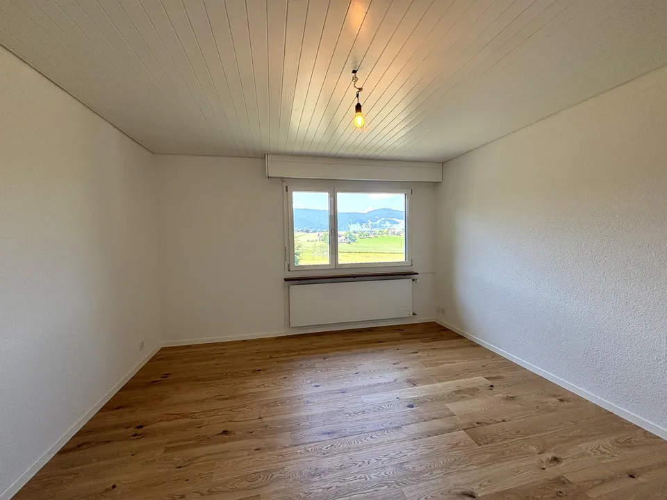 Frisch renoviertes 5.5-Einfamilienhaus an sonniger Lage