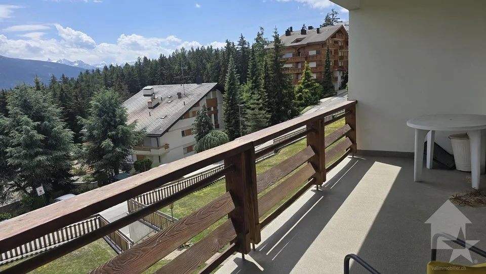 En plein centre ville, appartement lumineux avec balcon plein sud – photo 9 sur 11