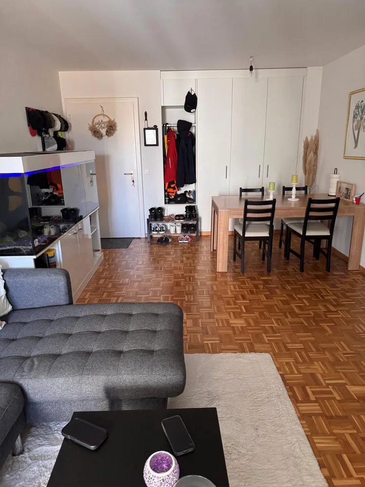 Helle, moderne 3.5 Zimmerwohnung zu vermieten