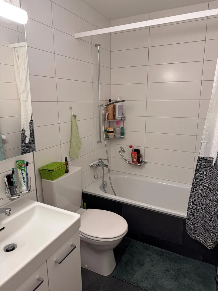 Helle, moderne 3.5 Zimmerwohnung zu vermieten