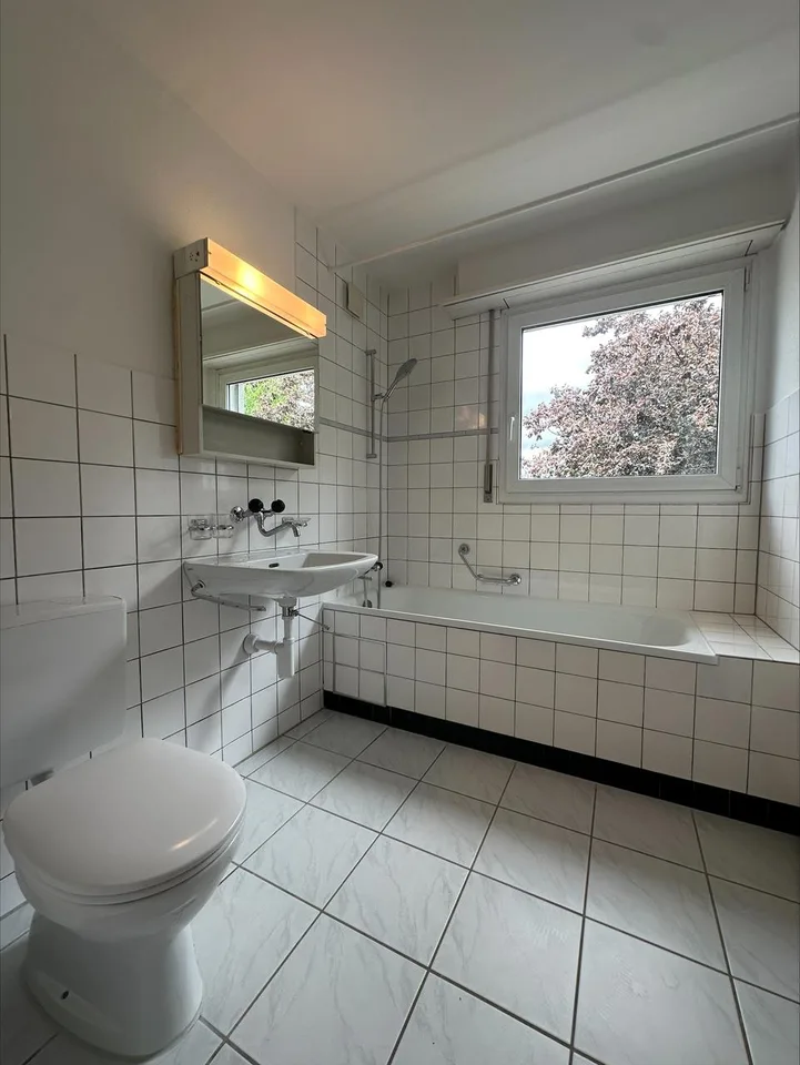 2-Zimmer-Dachwohnung mit zwei Balkonen in Pratteln