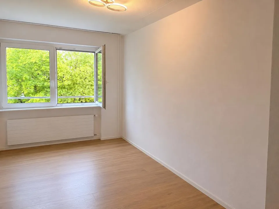 Moderne 4.5 Zimmer-Wohnung in Rorschacherberg
