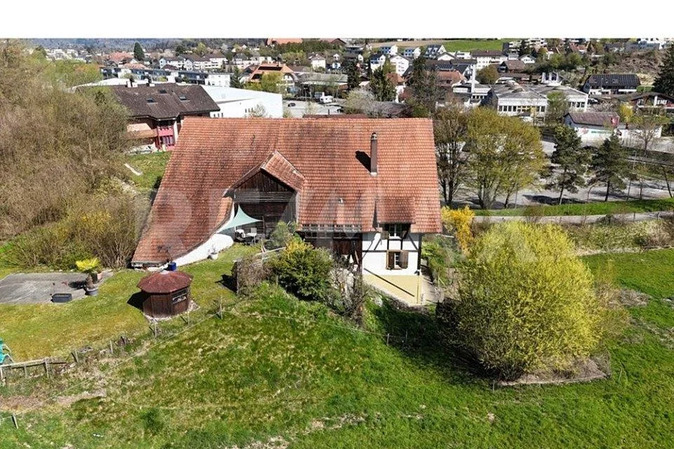 Charmantes Bauernhaus mit zwei Wohnungen, grossem Umschwung und vie...