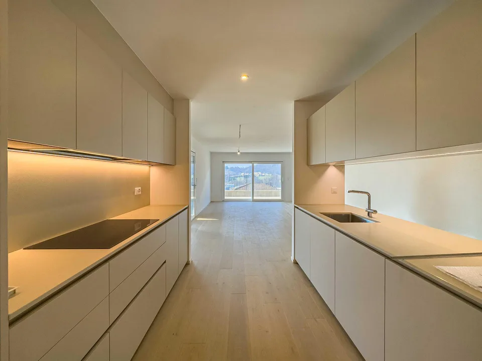 Spacieux et moderne 5.5 pièces avec jardin à Mendrisio