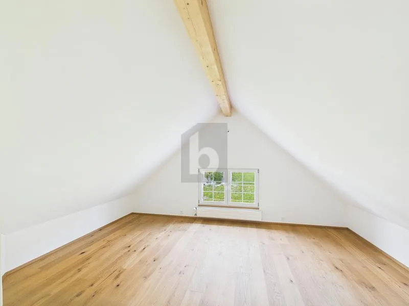 UNIKAT! APPENZELLERHAUS TRIFFT AUF MODERNE