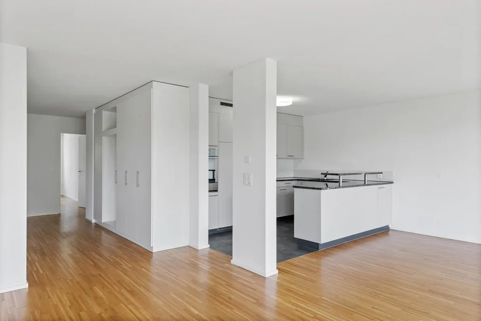 Moderne 5.5-Zimmer-Attikawohnung an ruhiger Lage
