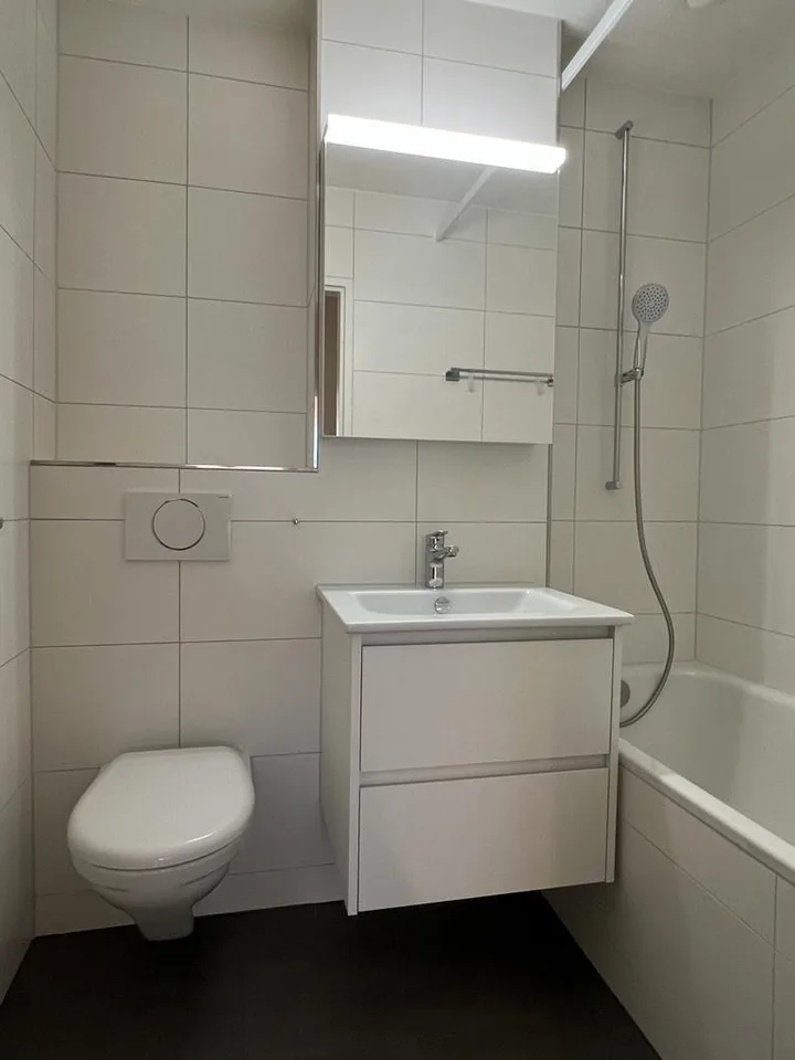 Your new renovated home