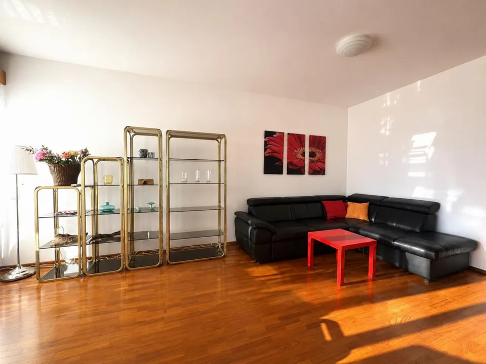 Stupendo 3,5 locali ammobiliato con vista lago