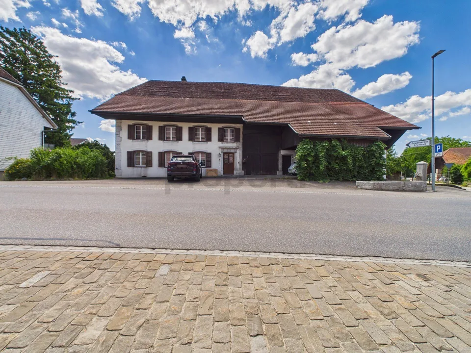 Historisches 8.5-Zimmer-Bauernhaus mit Charme, Pferdestall und gros...