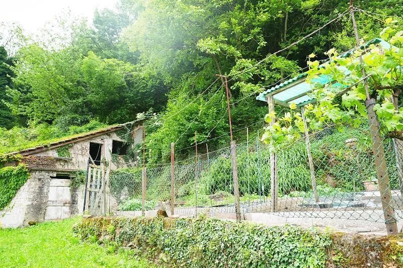 Baulandgrundstück von 476 m2 und 3553 m2 Wald / due terreni edifica... – foto 14 di 18