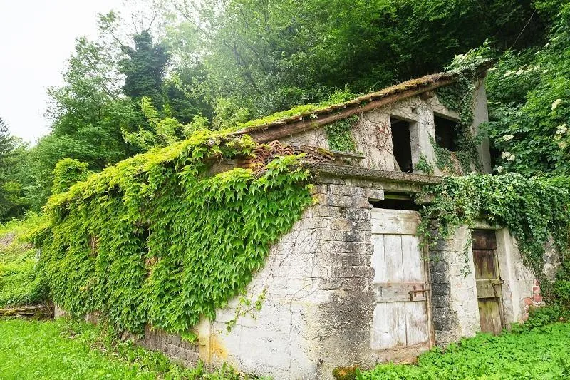 zwei Baulandgrundstücke von 955 m2 und 3553 m2 Wald / due terreni e... – foto 12 di 18