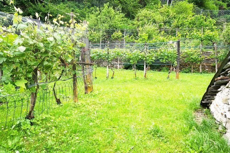 zwei Baulandgrundstücke von 955 m2 und 3553 m2 Wald / due terreni e...