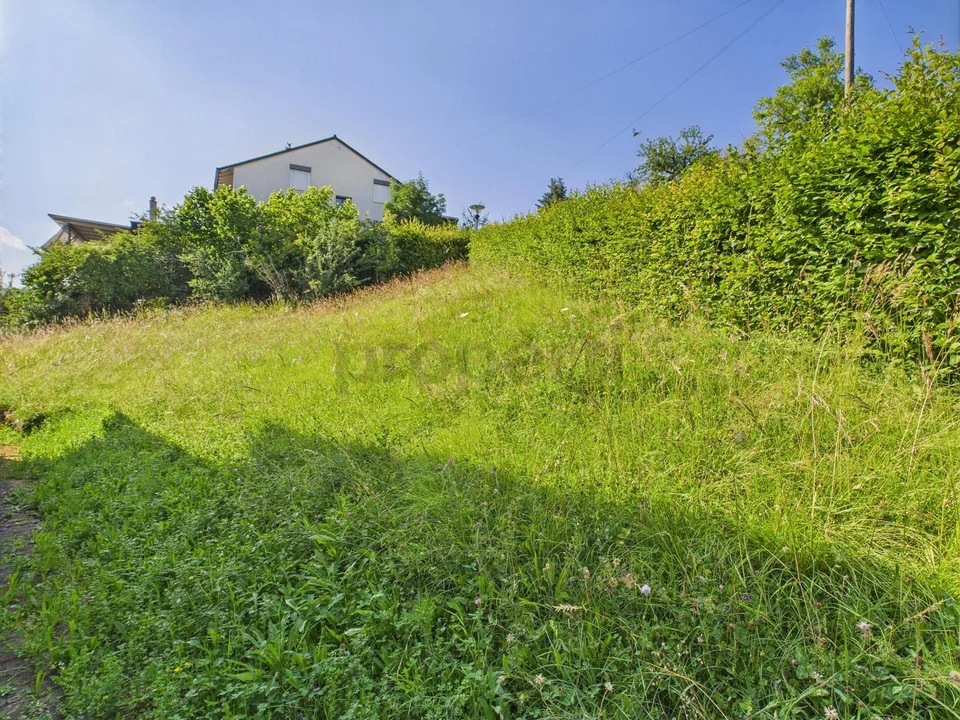 Bebautes Grundstück in Wölflinswil