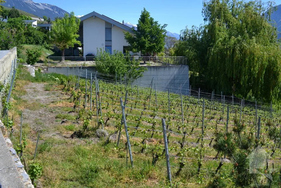 Magnifique parcelle surplombant Sierre dans zone villa de 1'099 m2