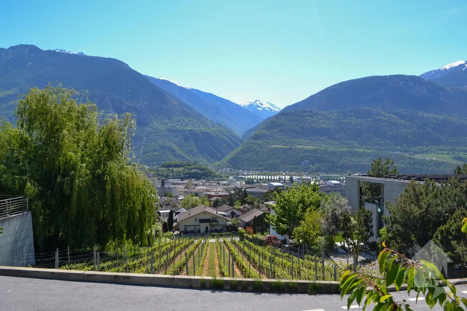Magnifique parcelle surplombant Sierre dans zone villa de 1'099 m2