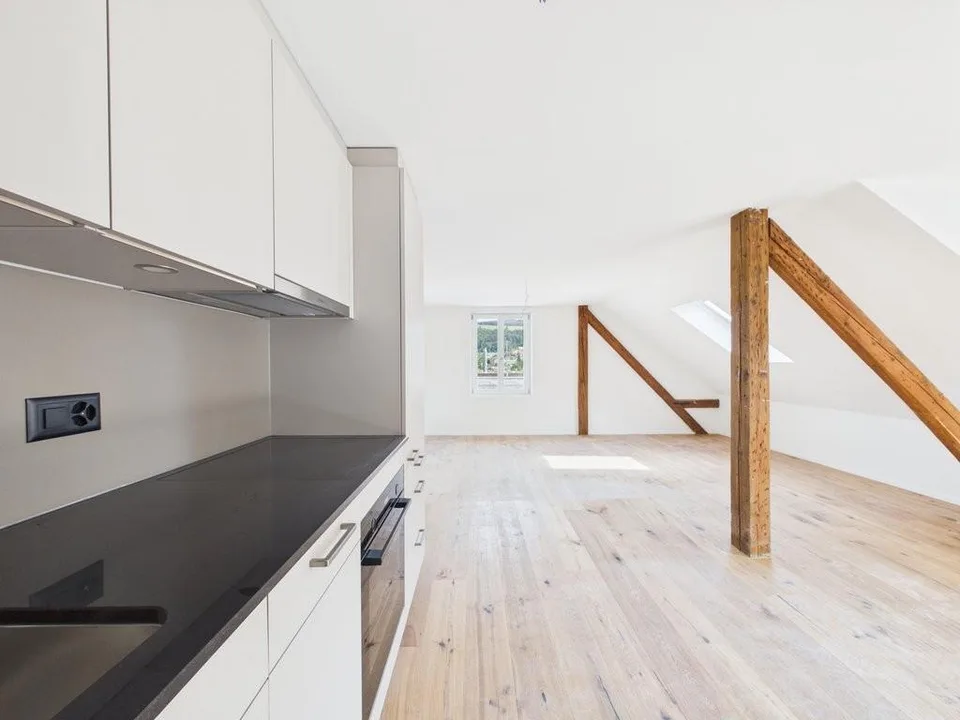 geniale Dachwohnung - ERSTVERMIETUNG