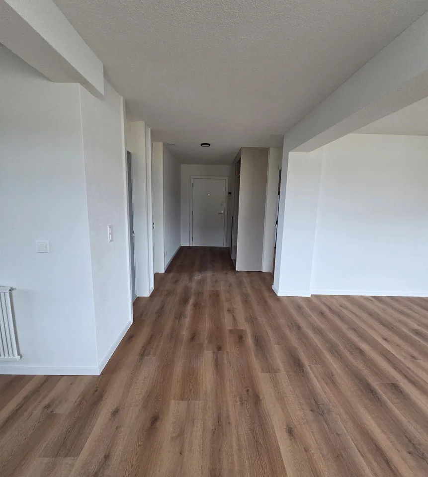 Komplett sanierte 3½-Zimmer-Wohnung in Hünenberg