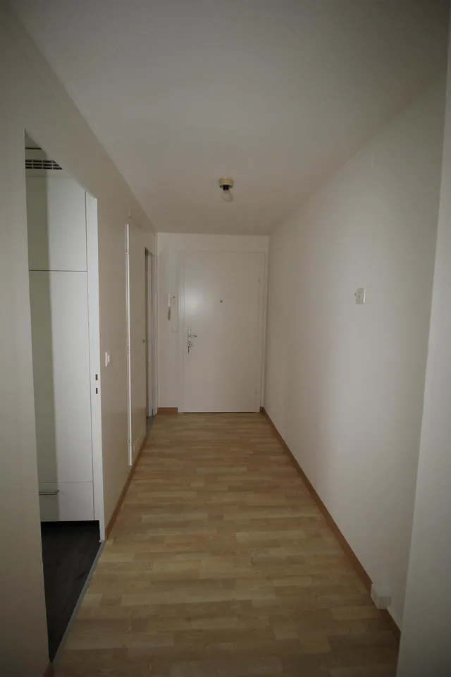 2.0 Zimmerwohnung in Schaffhausen