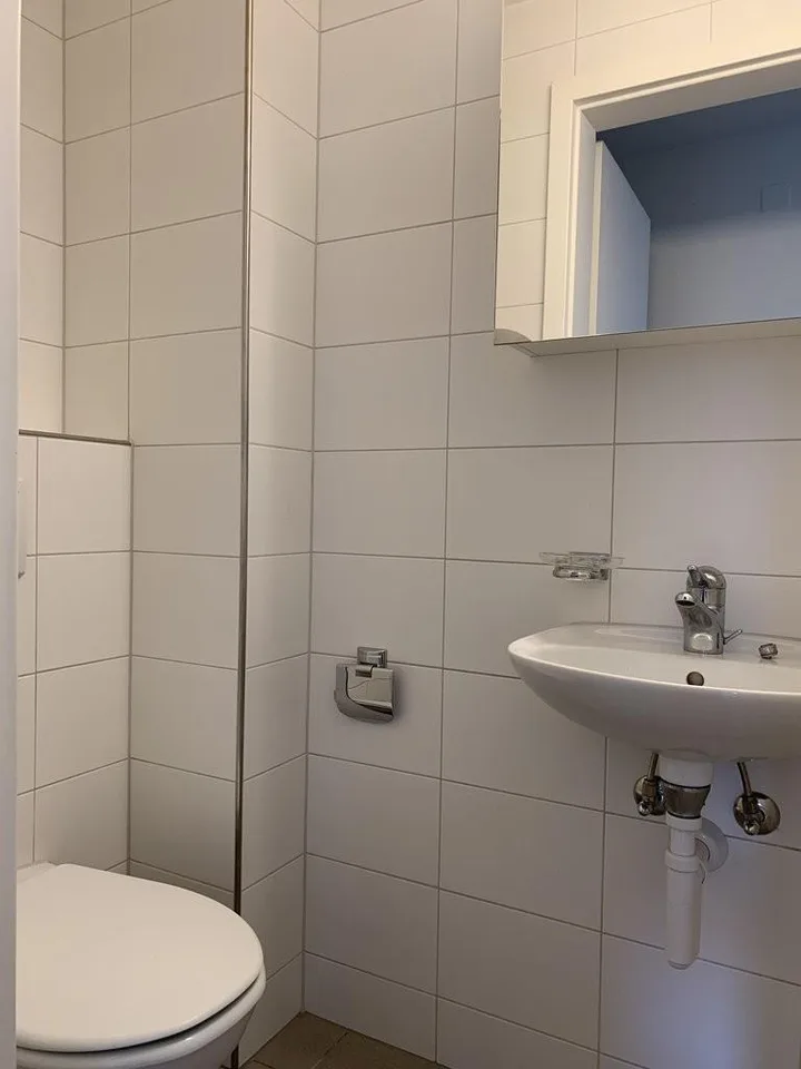 Stilvoll wohnen im Zentrum - frisch saniert & bezahlbar!