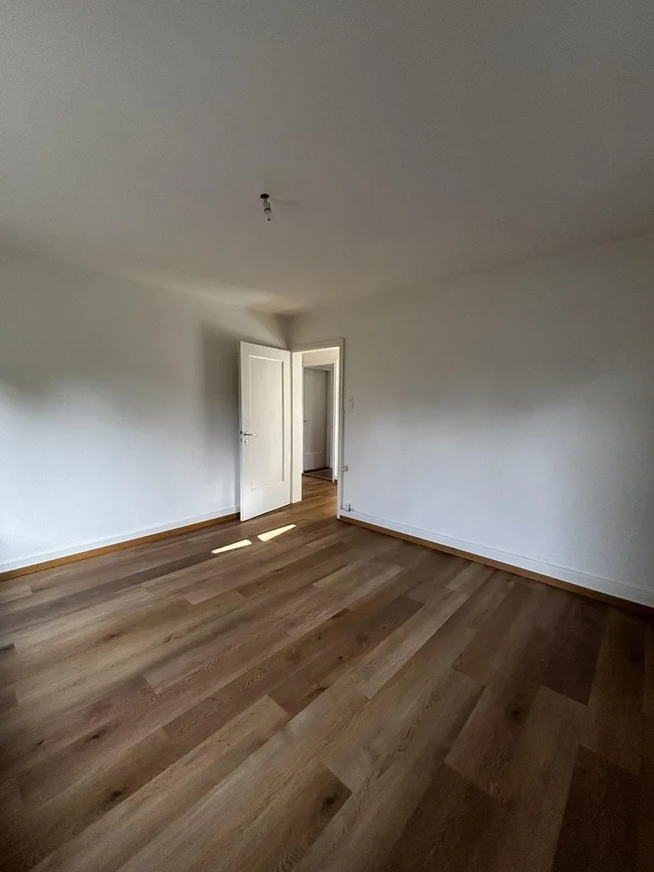 3.5-Zimmerwohnung in Niederdorf zu vermieten