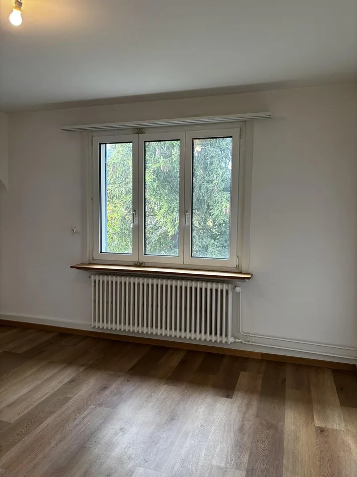 3.5-Zimmerwohnung in Niederdorf zu vermieten