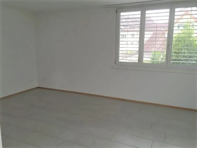 sehr schöne, grosszügige 4.5 Zimmer-Wohnung
