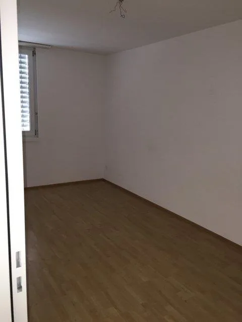 sehr schöne, grosszügige 4.5 Zimmer-Wohnung