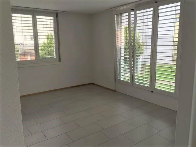 sehr schöne, grosszügige 4.5 Zimmer-Wohnung