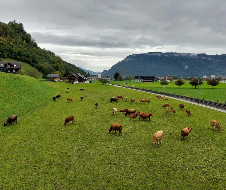 Heimelige 3-Zi.W. im Grünen mit Bergsicht, Lift, Werkstatt