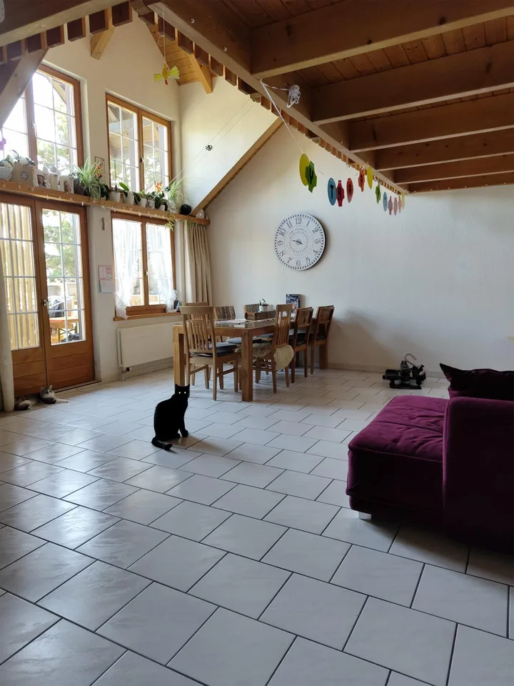 Grosse, doppelstöckige Maisonettewohnung