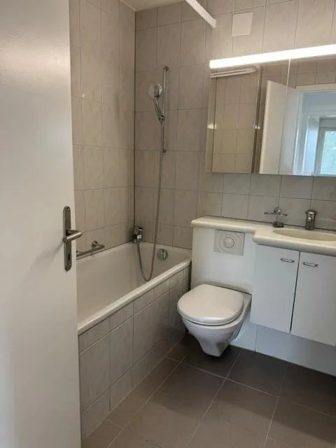 3.5 Zimmerwohnung mit einzigartiger Aussicht