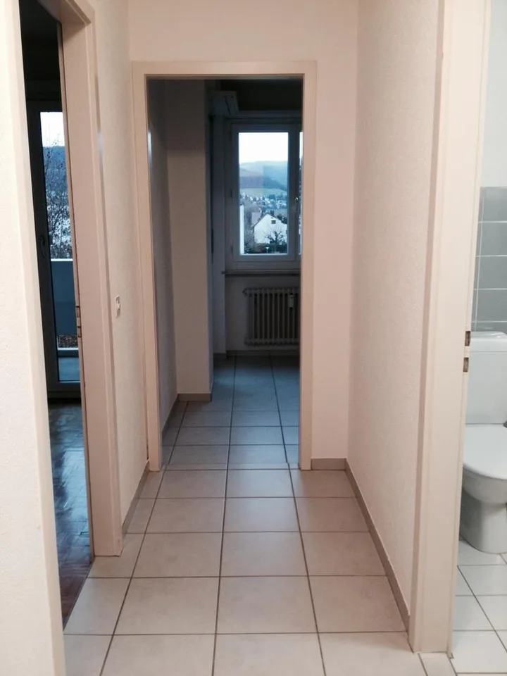 Schöne 1-Zimmerwohnung in Reinach
